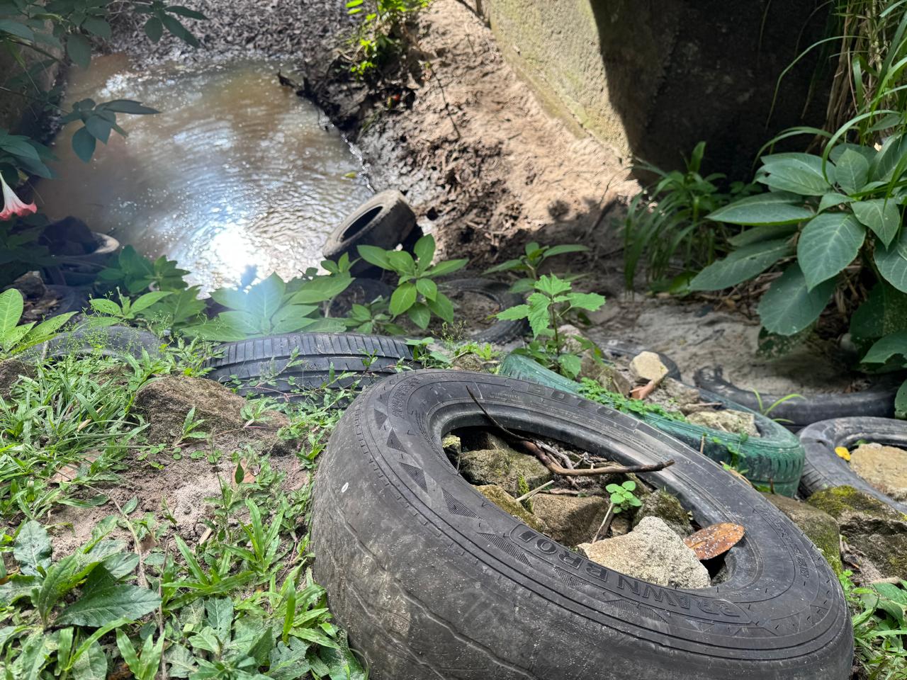 Burning tires causing pollution
